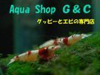 Ａｑｕａ Ｓｈｏｐ Ｇ＆Ｃ(アクアショップＧ＆Ｃ)のロゴ画像