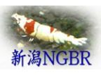 新潟NGBR(ニイガタエヌジービーアール)のロゴ画像
