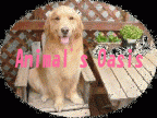 Animal's Oasis( アニマルオアシス)のロゴ画像