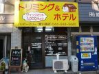 ワンちゃんのホテル＆トリミング　ハッピースリー新川通店( ワンチャンノホテル＆トリミング　ハッピースリーシンカワドオリテン)のロゴ画像