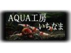 ＡＱＵＡ工房いちなま (アクアコウボウイチナマ)のロゴ画像