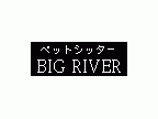 BIG RIVER(ビッグリバー)のロゴ画像