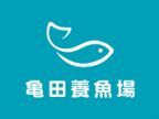 メダカ販売「亀田養魚場」(メダカハンバイ カメダヨウギョジョウ)のロゴ画像