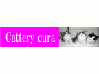 Cura Cattery(クーラ　キャッテリー)のロゴ画像