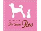 PETSALON　REO(ペットサロン　レオ)のロゴ画像