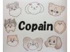 トリミングサロン～Copain～(トリミングサロン～コパン～)のロゴ画像