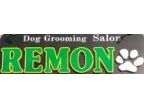 REMON(レモン)のロゴ画像