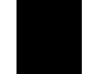 DOG RESORT OLUOLU(ドッグリゾートオルオル)のロゴ画像