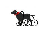 老犬サポート ひだまり(ロウケンサポート ヒダマリ)のロゴ画像