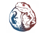 Reptiles Shop GeckoZoo (レプタイルズショップゲッコーズー)のロゴ画像