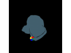 Four-M PET(フォーウエムペット)のロゴ画像