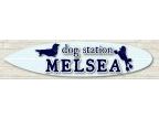 dog station MELSEA(ドッグステーションメルシー)のロゴ画像