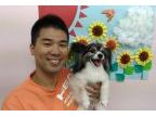 川口市の犬の保育園・トリミングサロン『ハピネス』(ハピネス)のロゴ画像