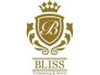 BLISS 豊洲店(ブリス  トヨステン)のロゴ画像