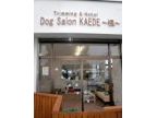 Dog Salon KAEDE〜楓〜(ドッグサロンカエデ)のロゴ画像