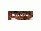Dog&Dog(ドッグアンドドッグ)のロゴ画像
