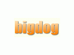 BIGDOG( ビッグドッグ)のロゴ画像
