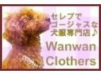 犬服、犬グッズ専門店Wanwan Clothers(イヌフク、イヌグッズセンモンテンワンワンクローザーズ)のロゴ画像