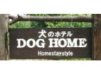DOG HOME( ドッグホーム)のロゴ画像