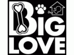 DOG Salon BIG LOVE( ドッグサロンビッグラブ)のロゴ画像