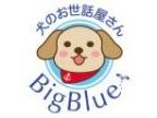 犬のお世話屋さんBigBlue(イヌノオセワヤサンビッグブルー)のロゴ画像