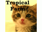 猫専門ペットショップ　Tropical Farm(猫専門ペットショップ　トロピカルファーム)のロゴ画像