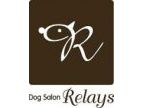 DogSalon Relays(ドッグサロン　リレイズ)のロゴ画像