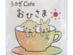 うさぎカフェ　おひさま(ウサギカフェオヒサマ)のロゴ画像