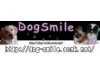 DogSmile(ドッグスマイル)のロゴ画像