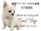 優良ブリーダーの仔犬を直譲★オンラインペットショップ　Earl Dog(アールドッグ)のロゴ画像